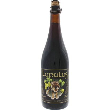 Bière Lupulus Brune par la brasserie Les Trois Fourquets